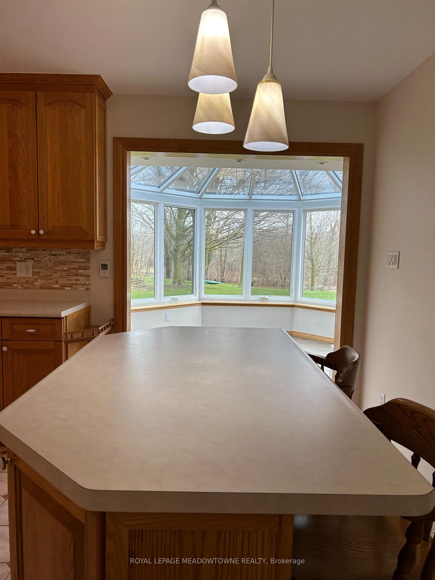 14255 Trafalgar Road photo 12