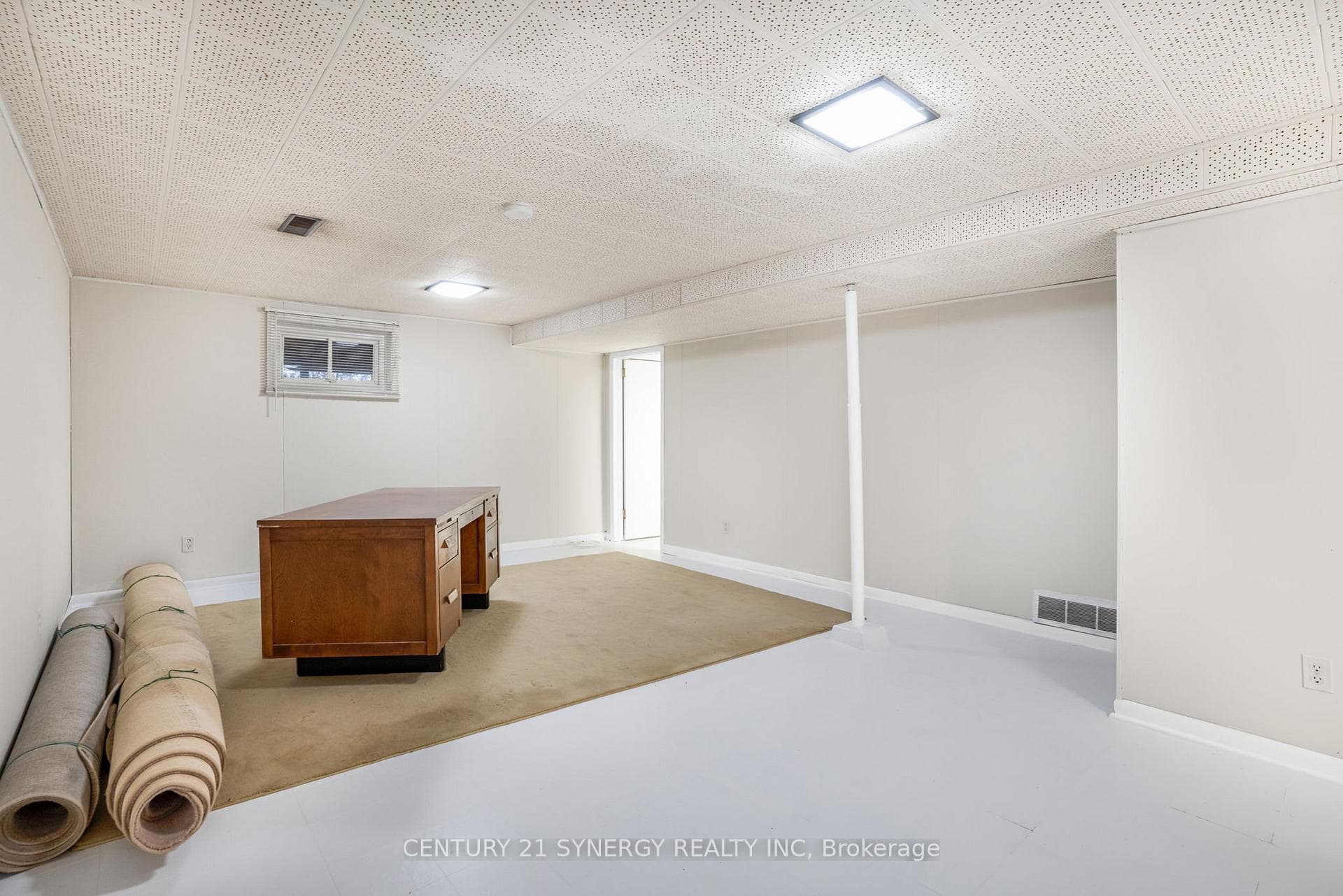 Basement Recreation Room
