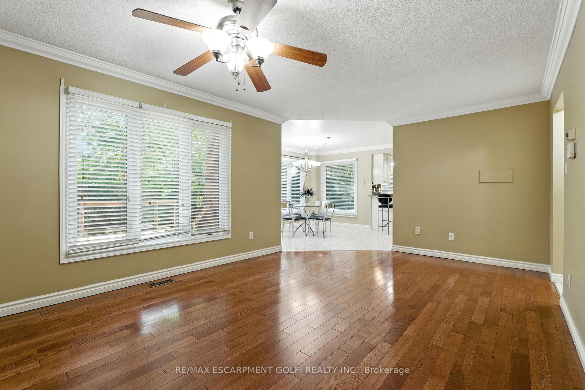 6 Renata Court photo 23