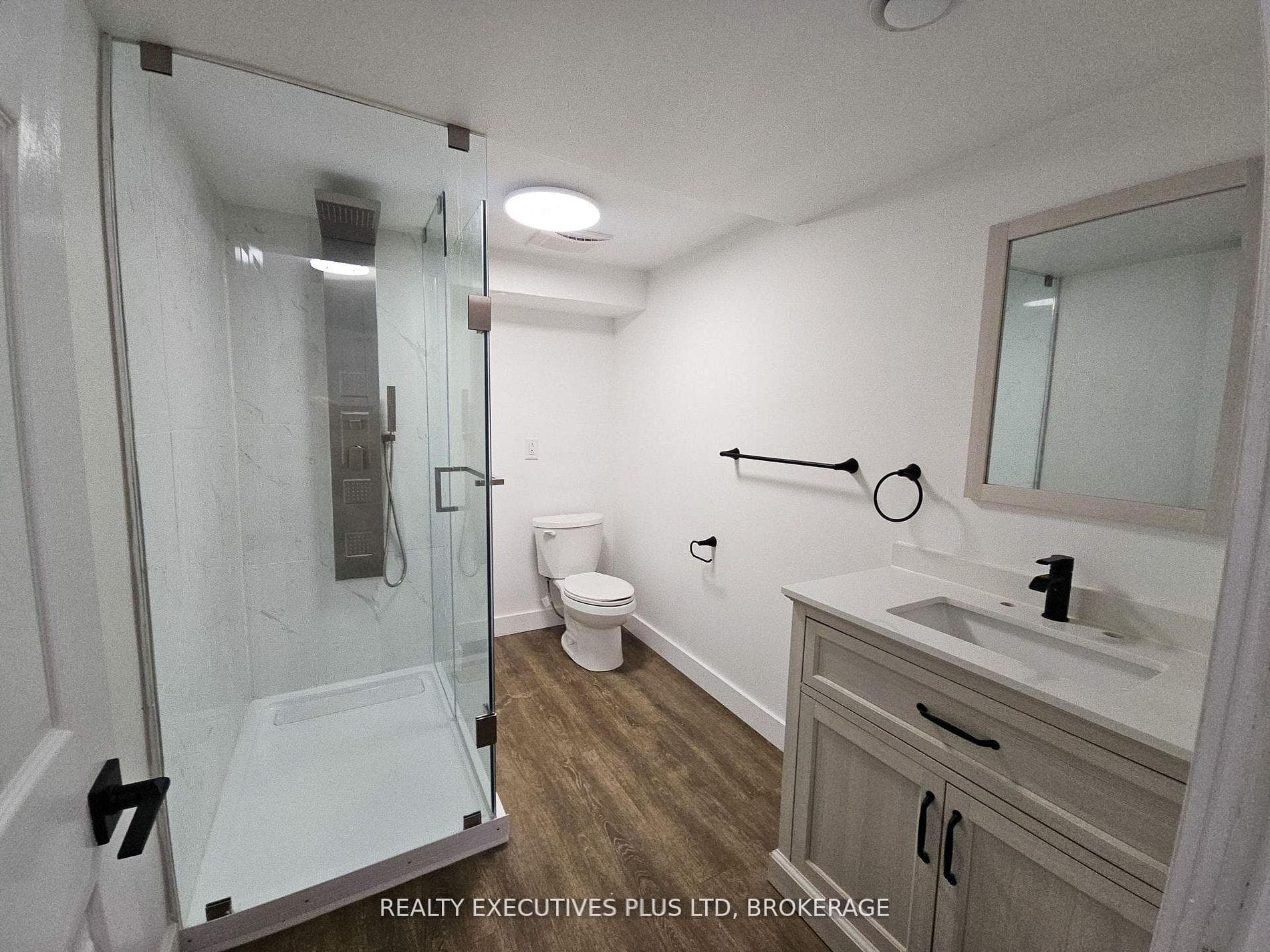 Bath in Basement