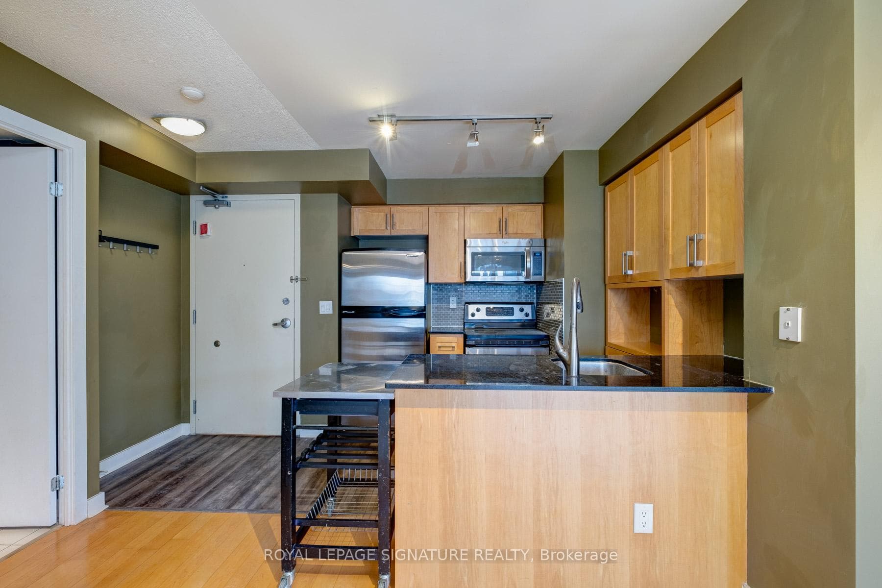 255 Richmond Street Unit 1505 photo 7