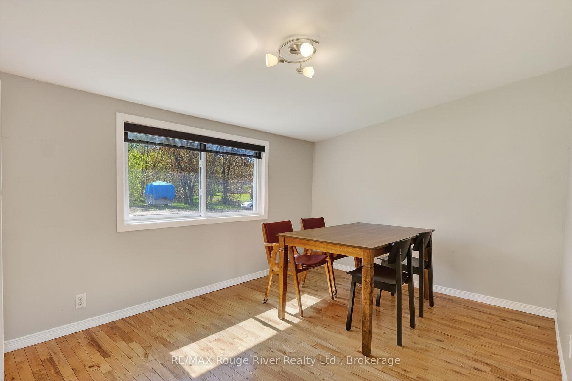 169 Cedar Drive photo 17