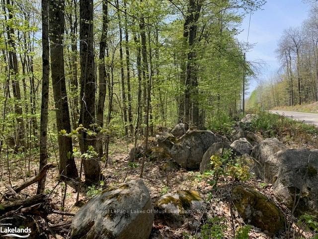 2376 SOUTH HORN LAKE Road photo 3