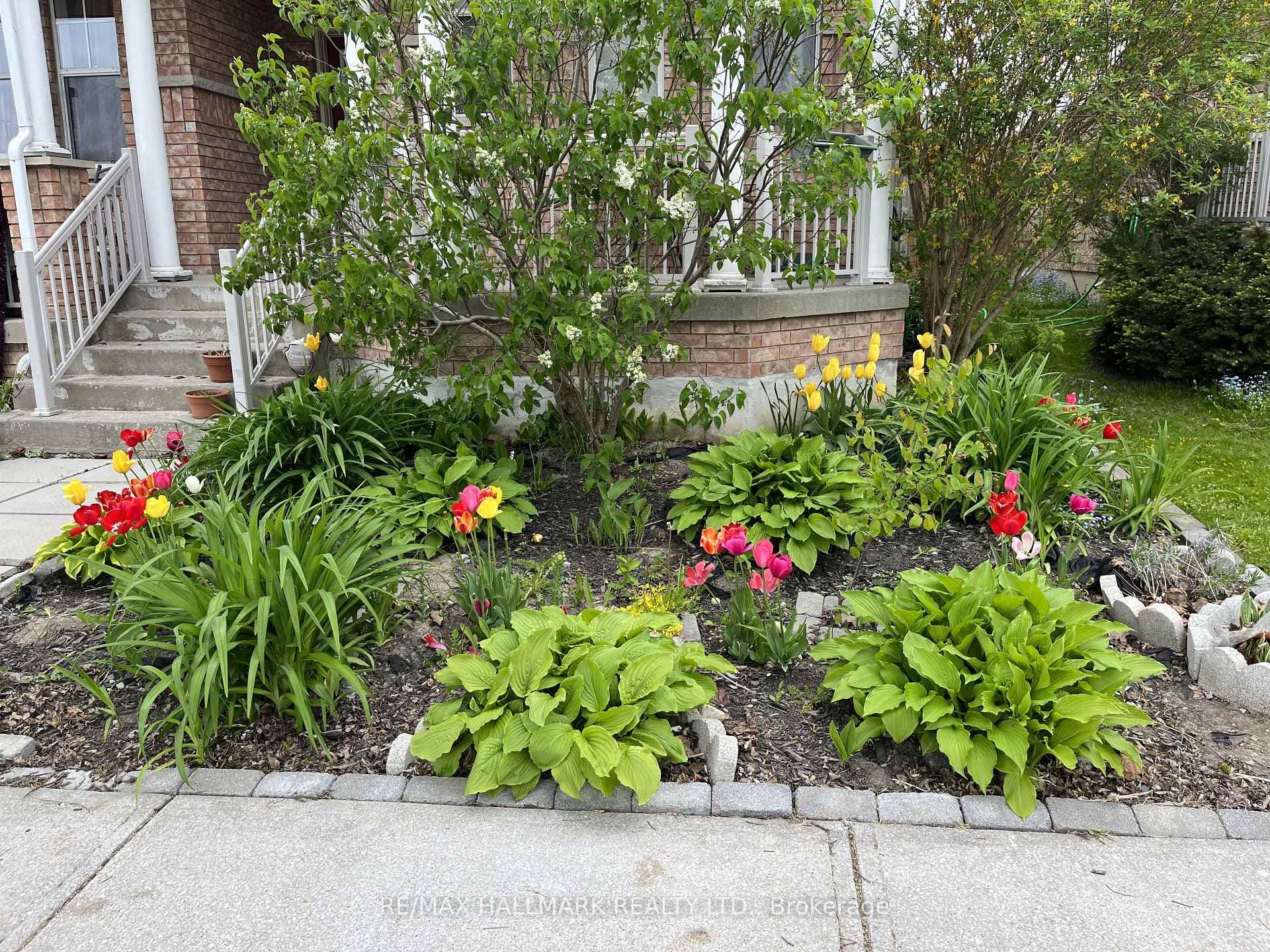 Lush Front Garden