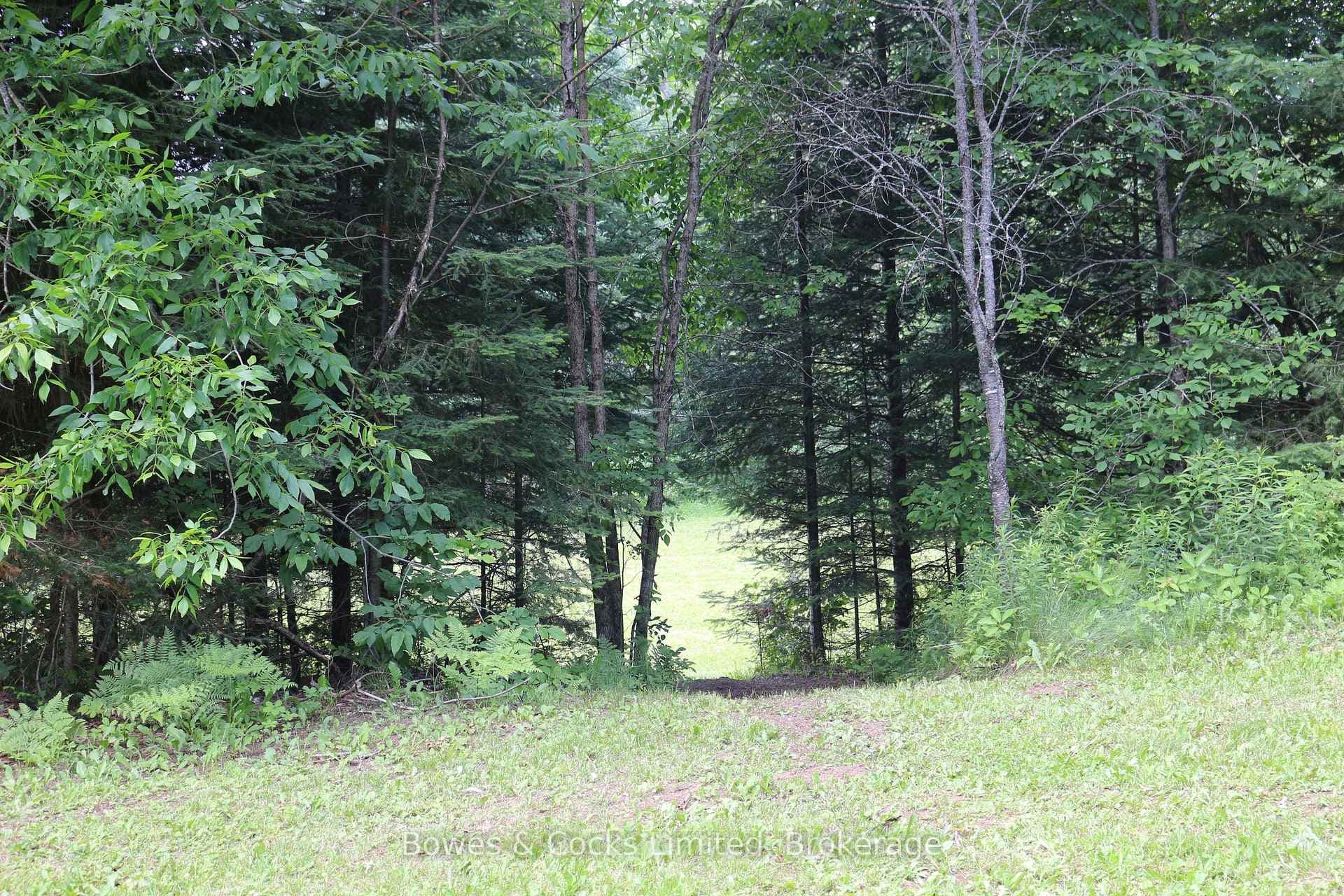 3994 County Road 620 N/A photo 26