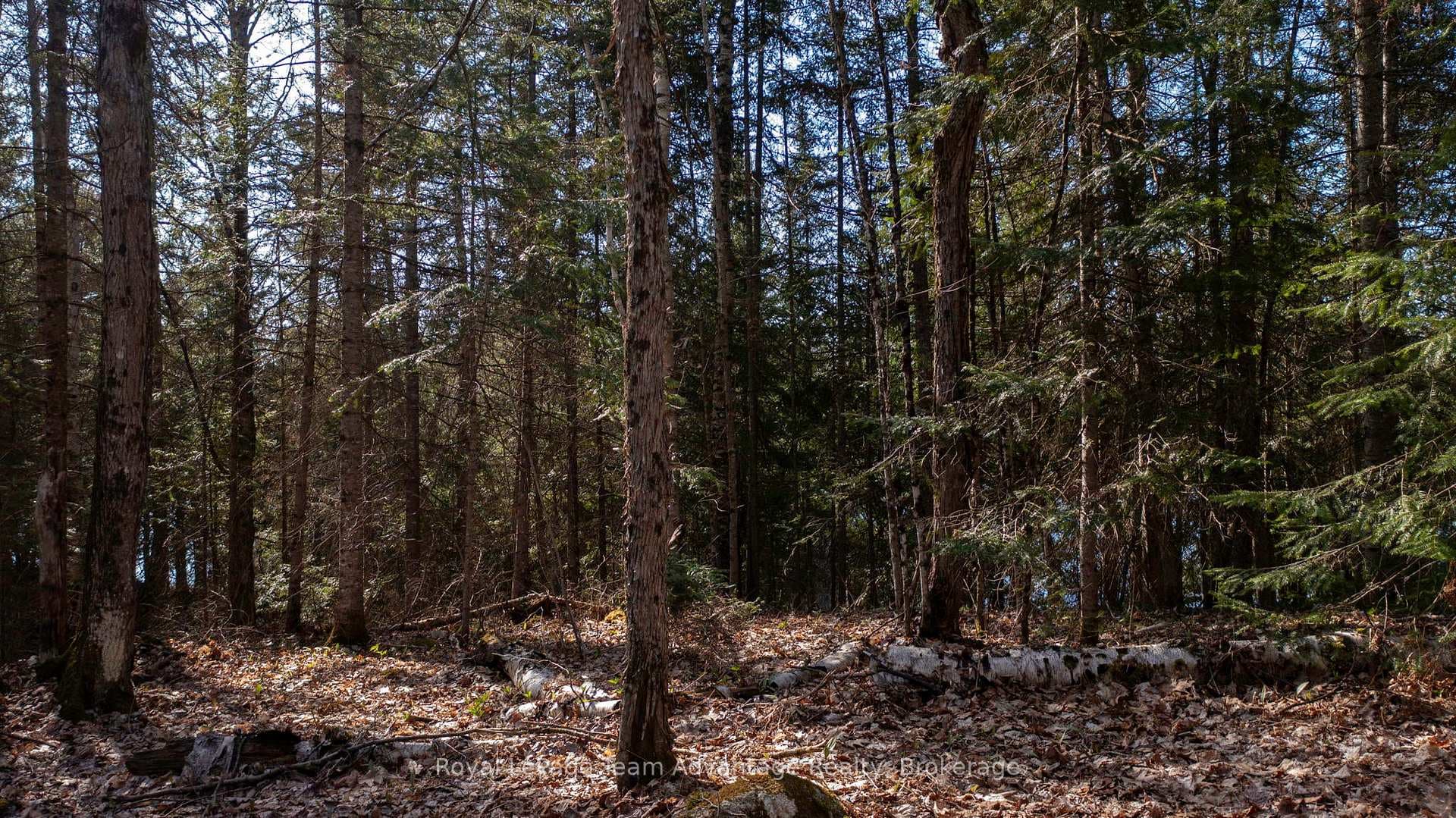Lot 1 Greenwood Way photo 5