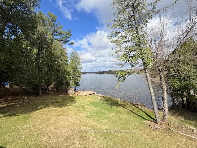 12 Cherry Lane photo 46