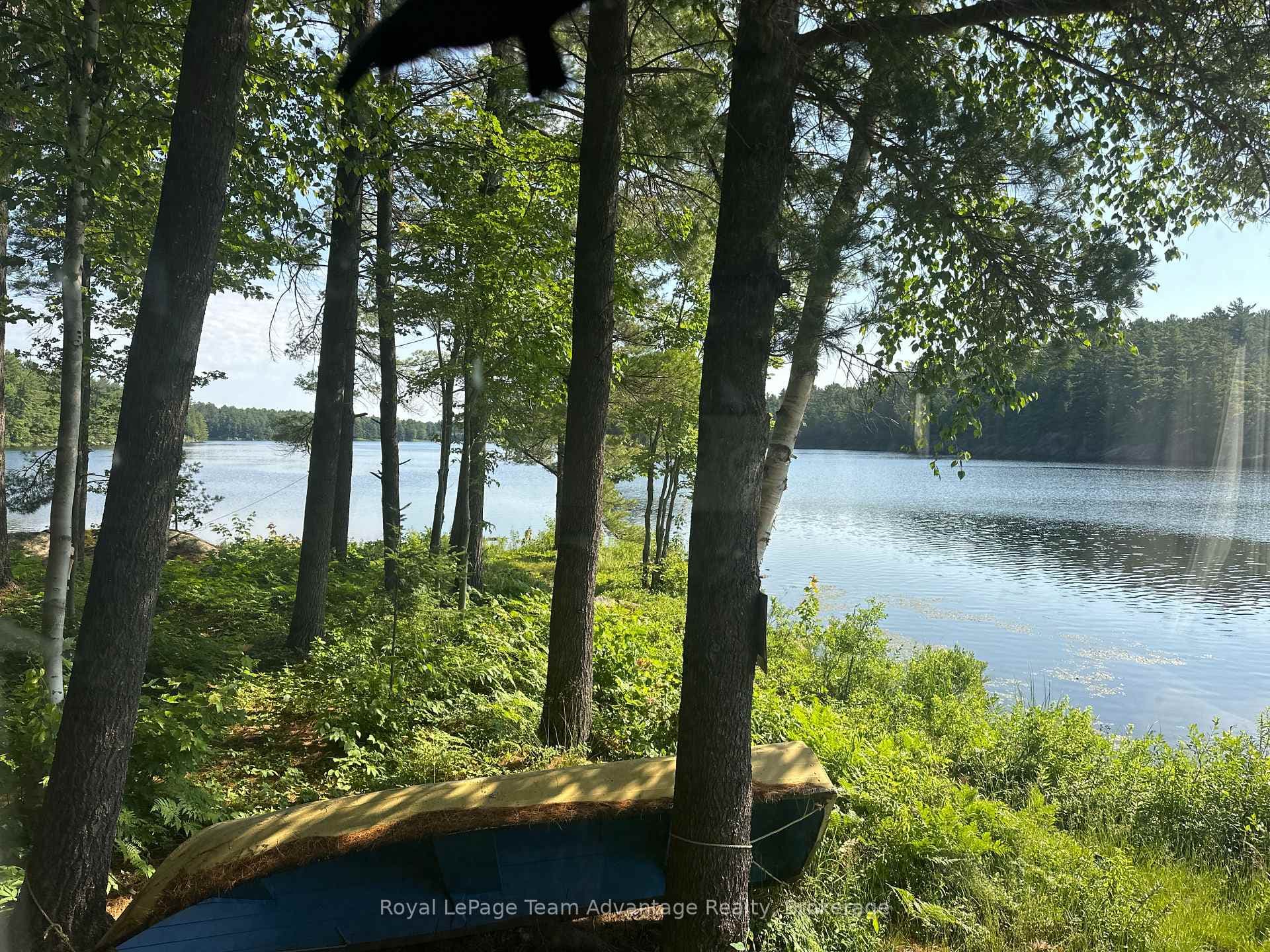 9075 Harris Lake Water N/A photo 33
