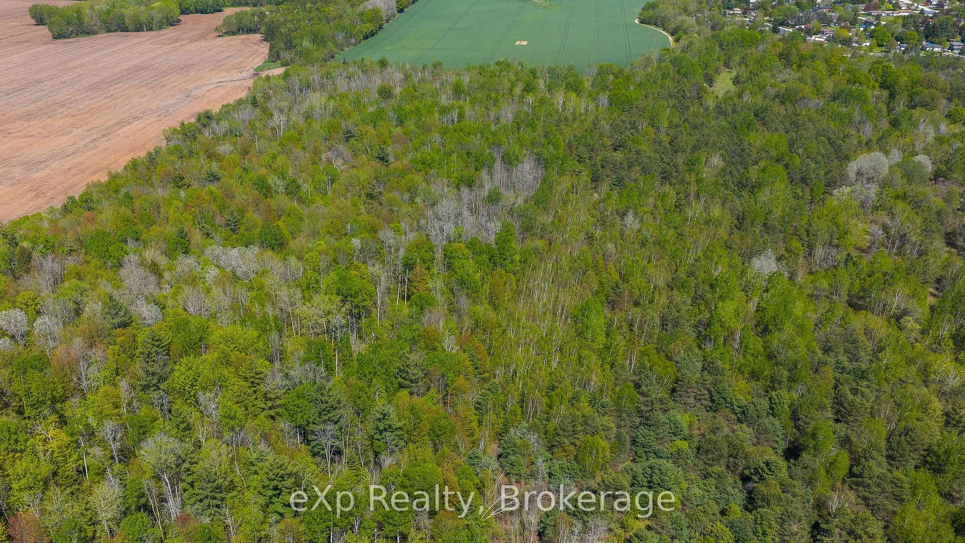 5716 County Road 9 N/A photo 32