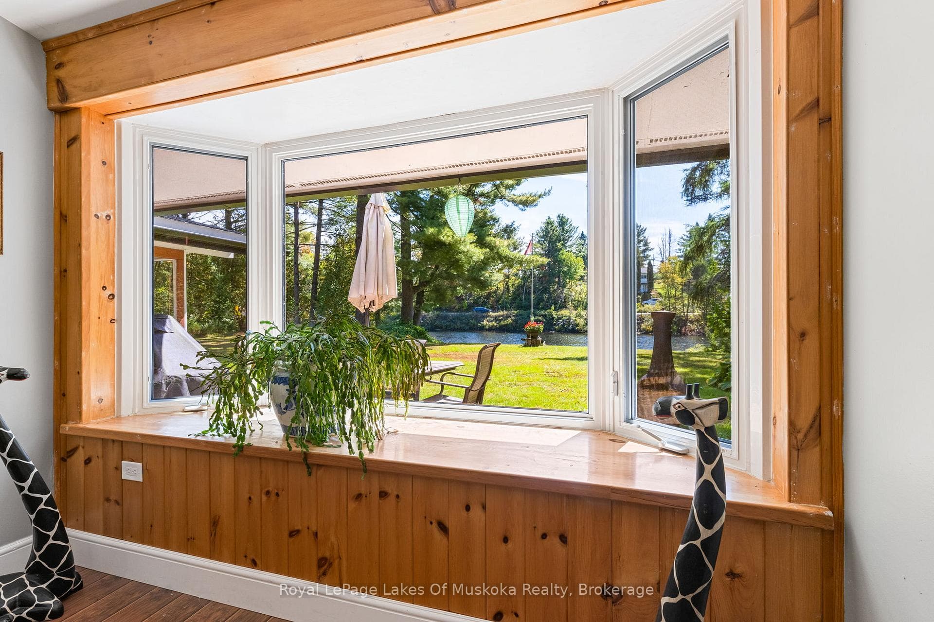 50 Brofoco Drive photo 8