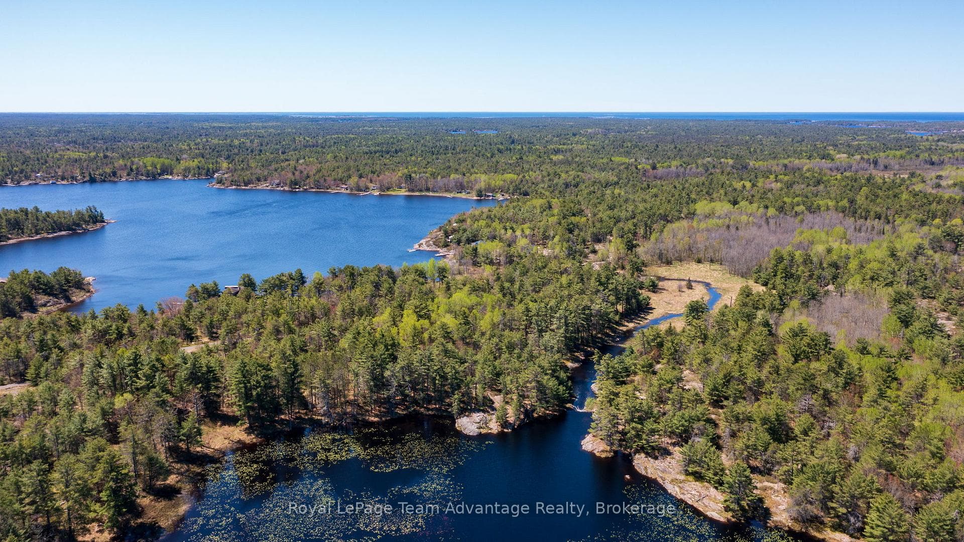 121 Rattlebear Drive photo 43