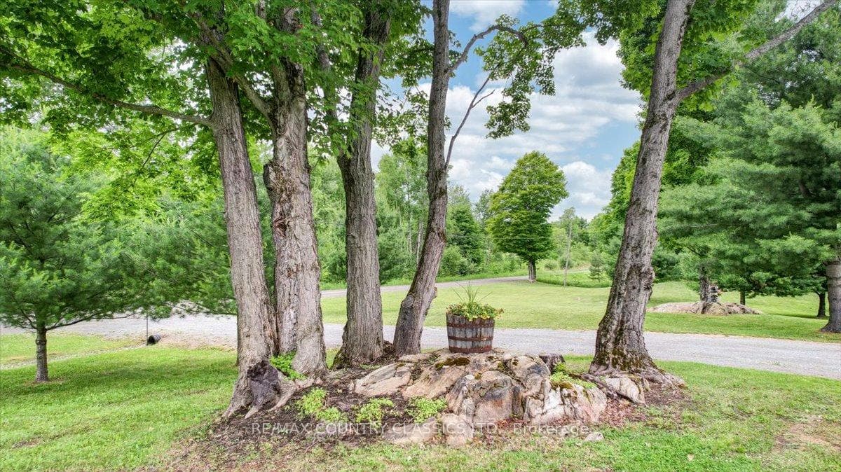 Lovely Landscaping
