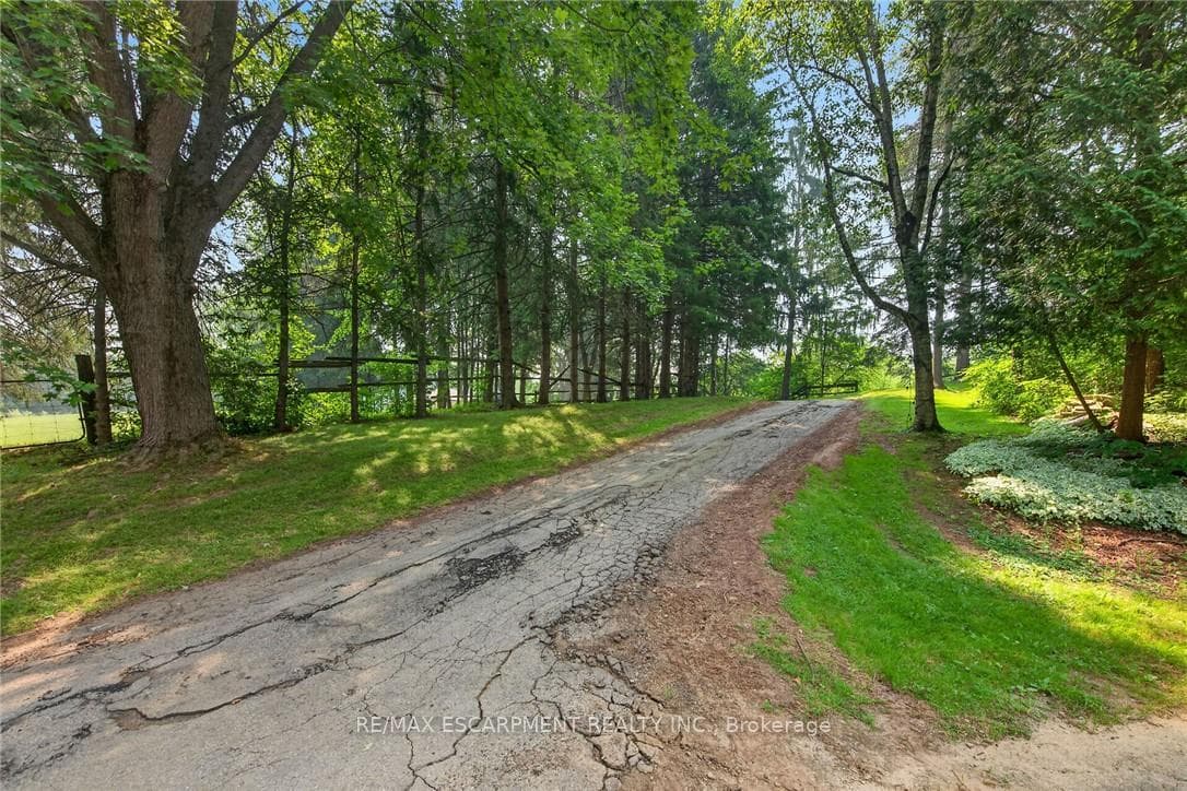 1376 Mineral Springs Road photo 45