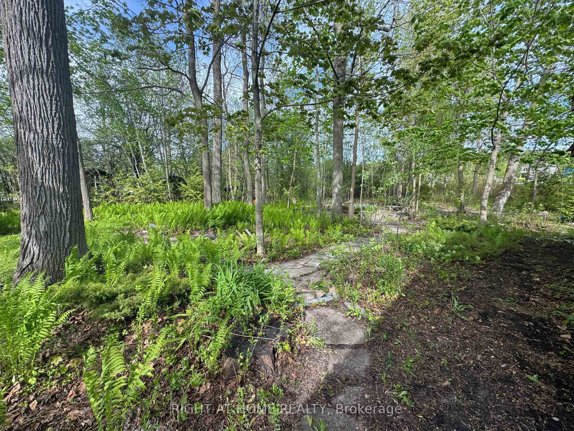 28 Birch Island Road photo 38
