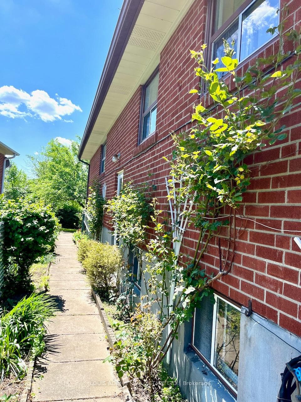 1206 Shadeland Drive photo 20