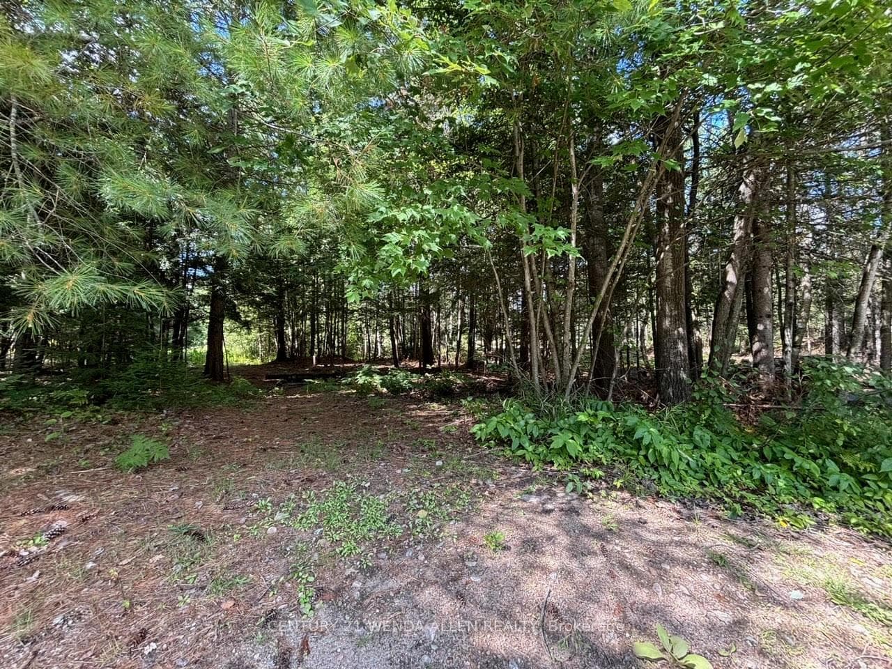 12 Treadlightly Drive photo 38