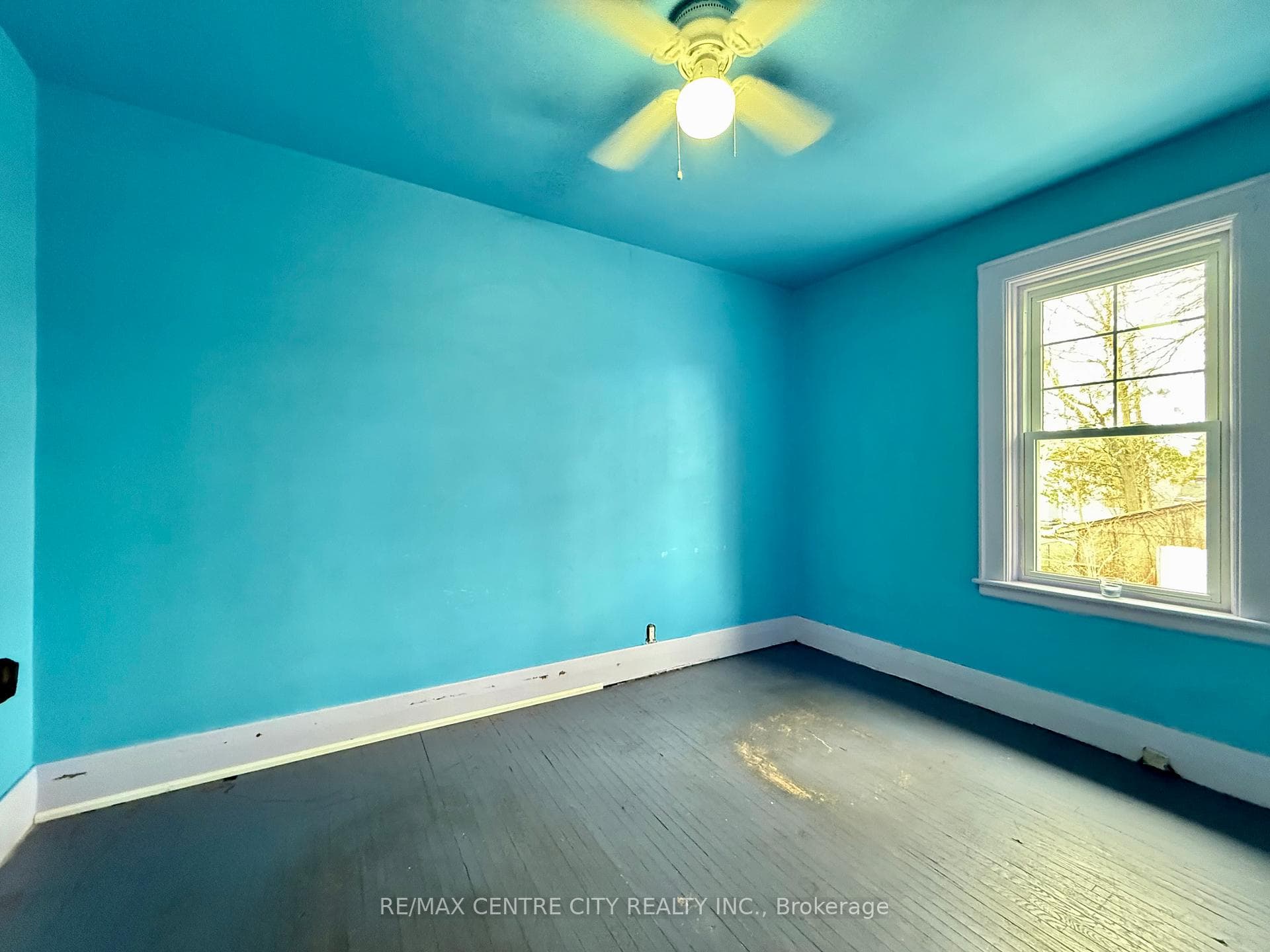 133 Arundell Street photo 9