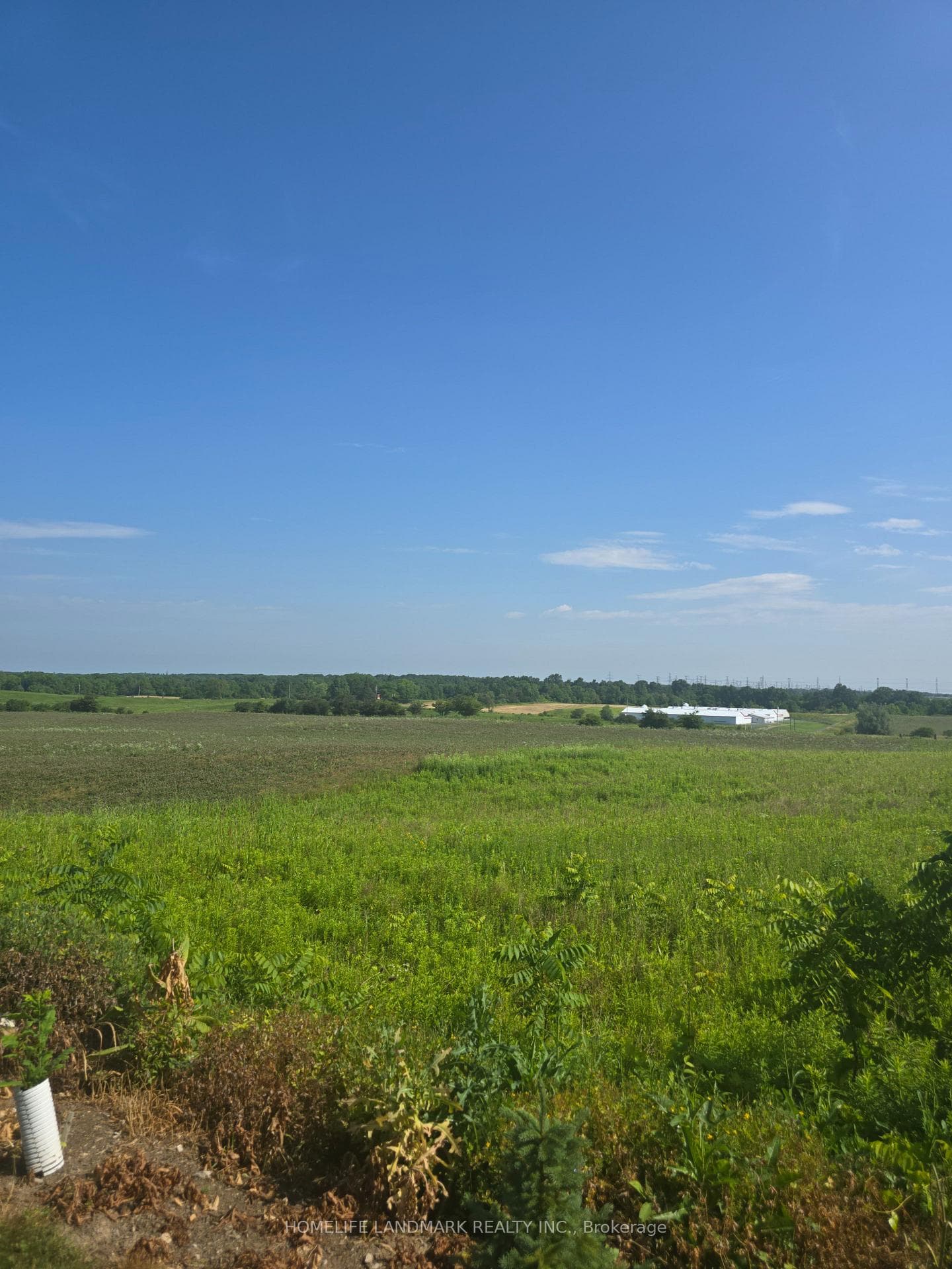 5177 Hwy #6 N/A photo 4