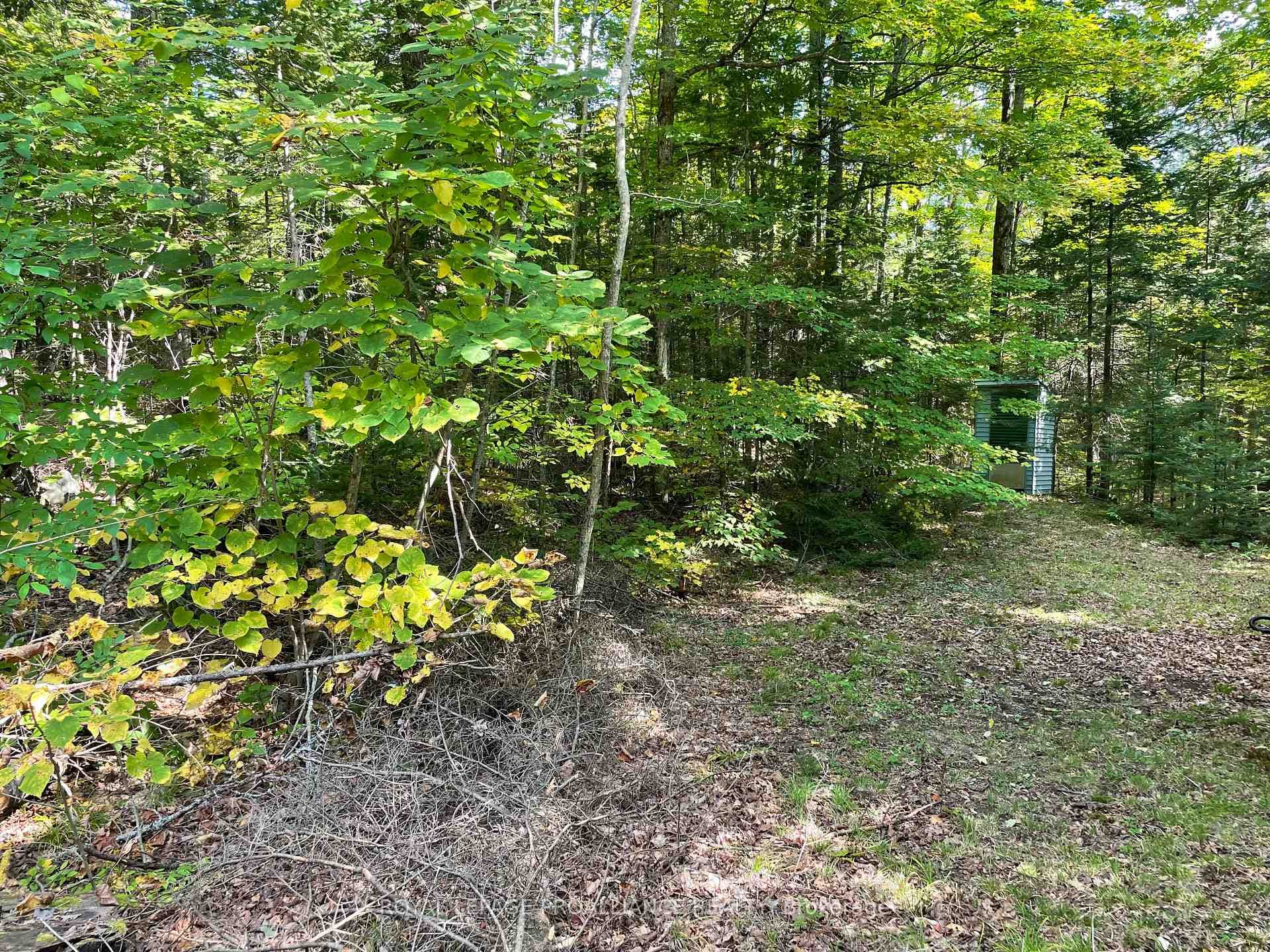 112 Little Finch Lake Road photo 9