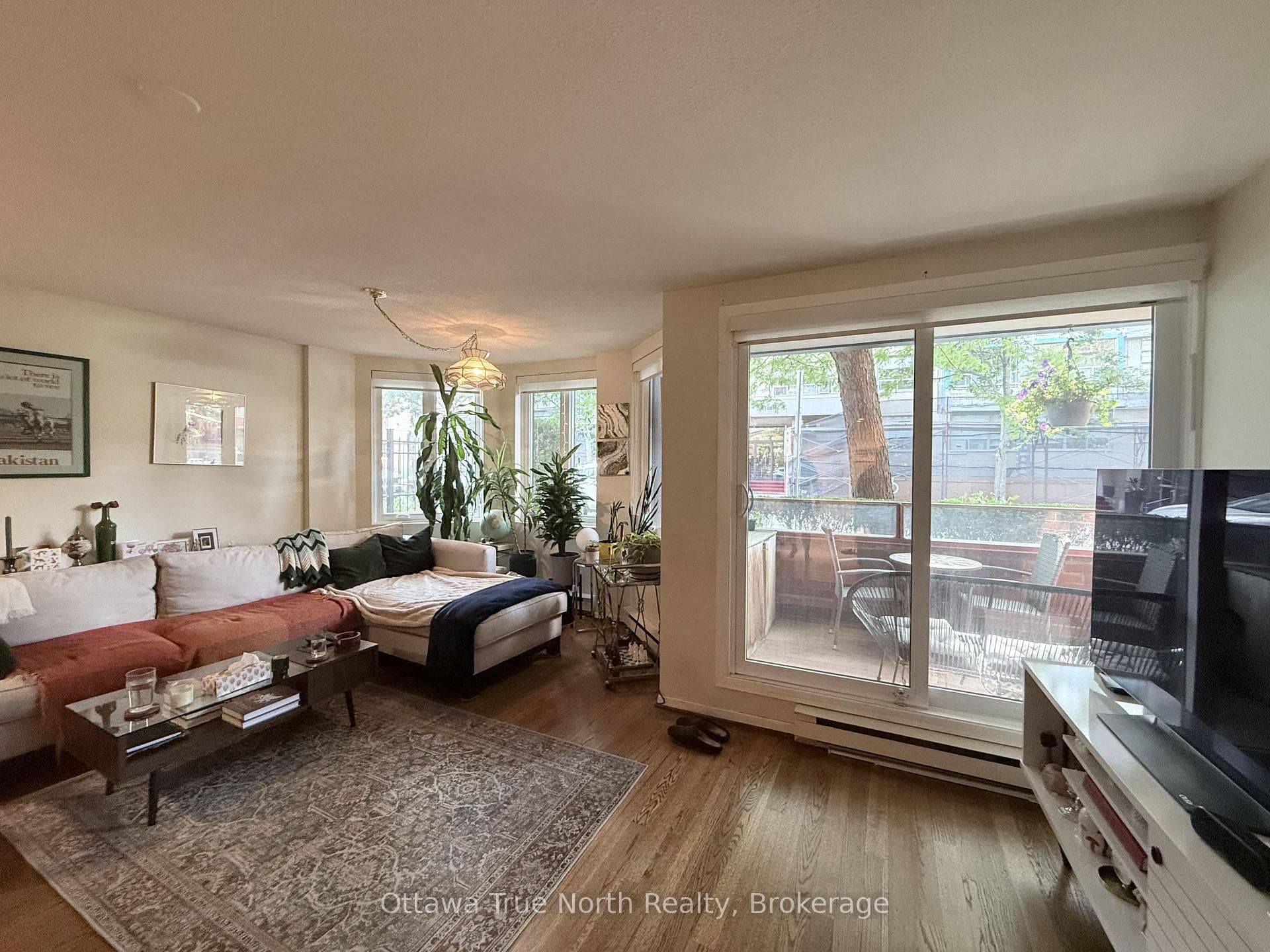 317 Metcalfe Street Unit 103 photo 6