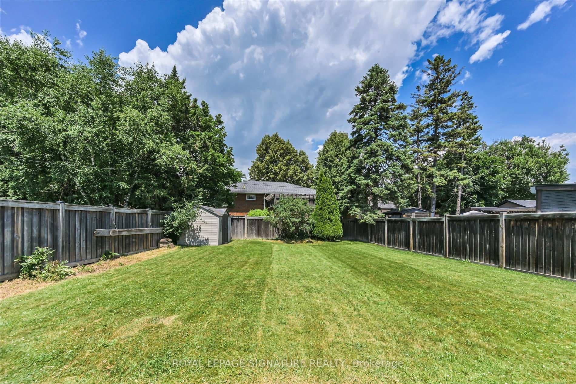Rear yard