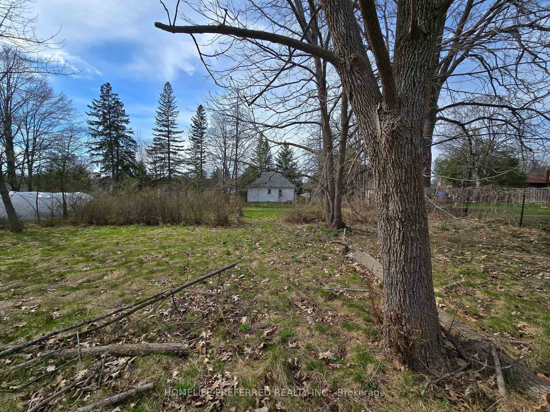 119 Dumble Avenue photo 18
