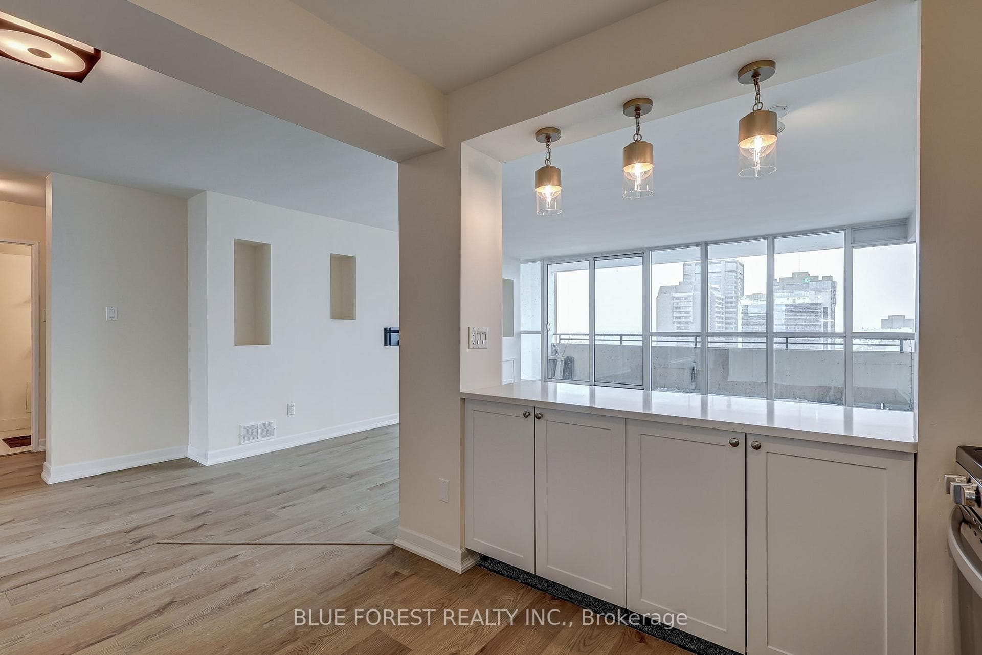 Renovated Kitchen Open Concept