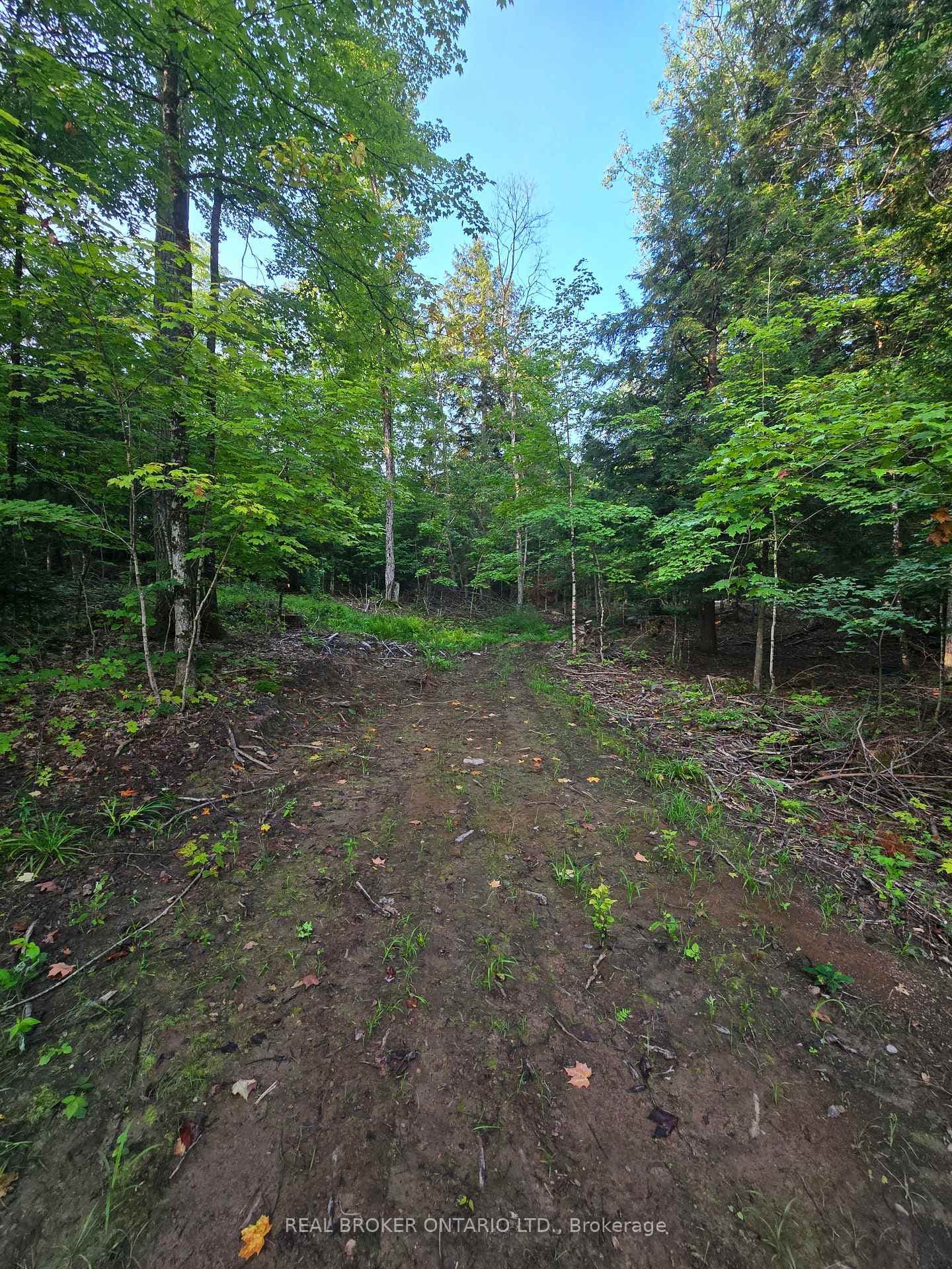 112 Highway 559 N/A photo 9