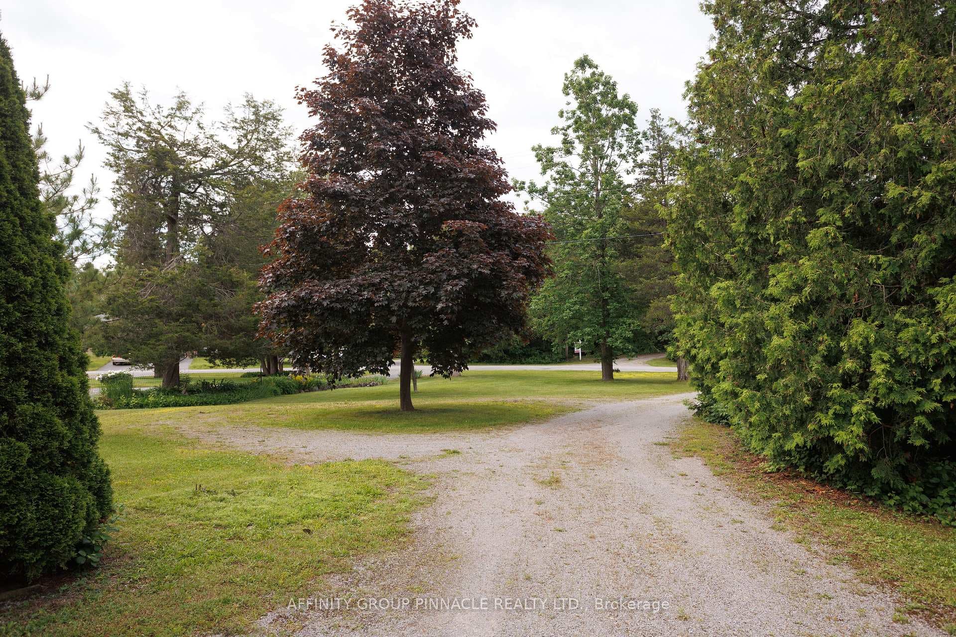 48 Little Bob Drive photo 34