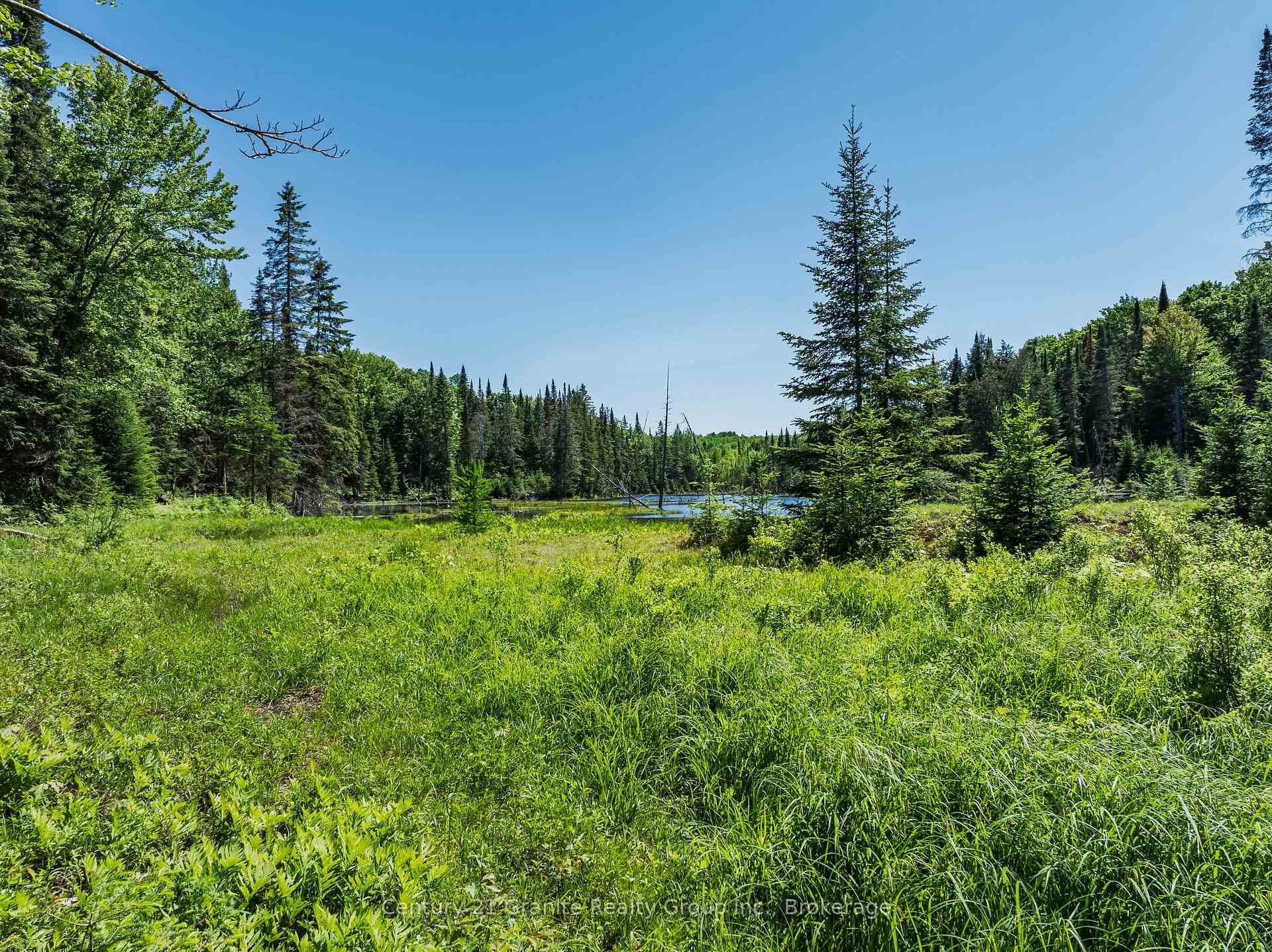 0 Kushog Lake Road photo 7
