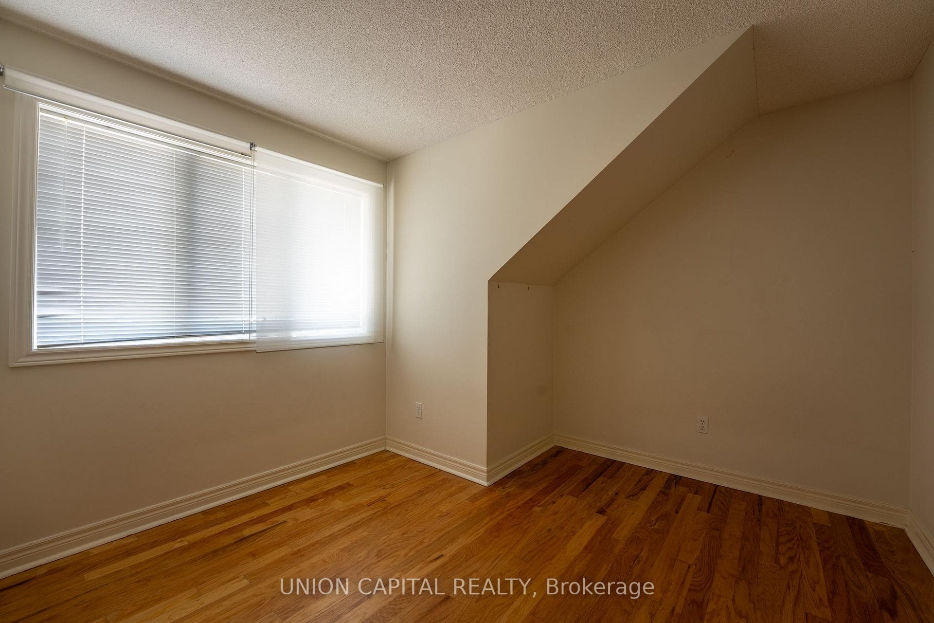 230 St. George Street Unit 1 photo 14