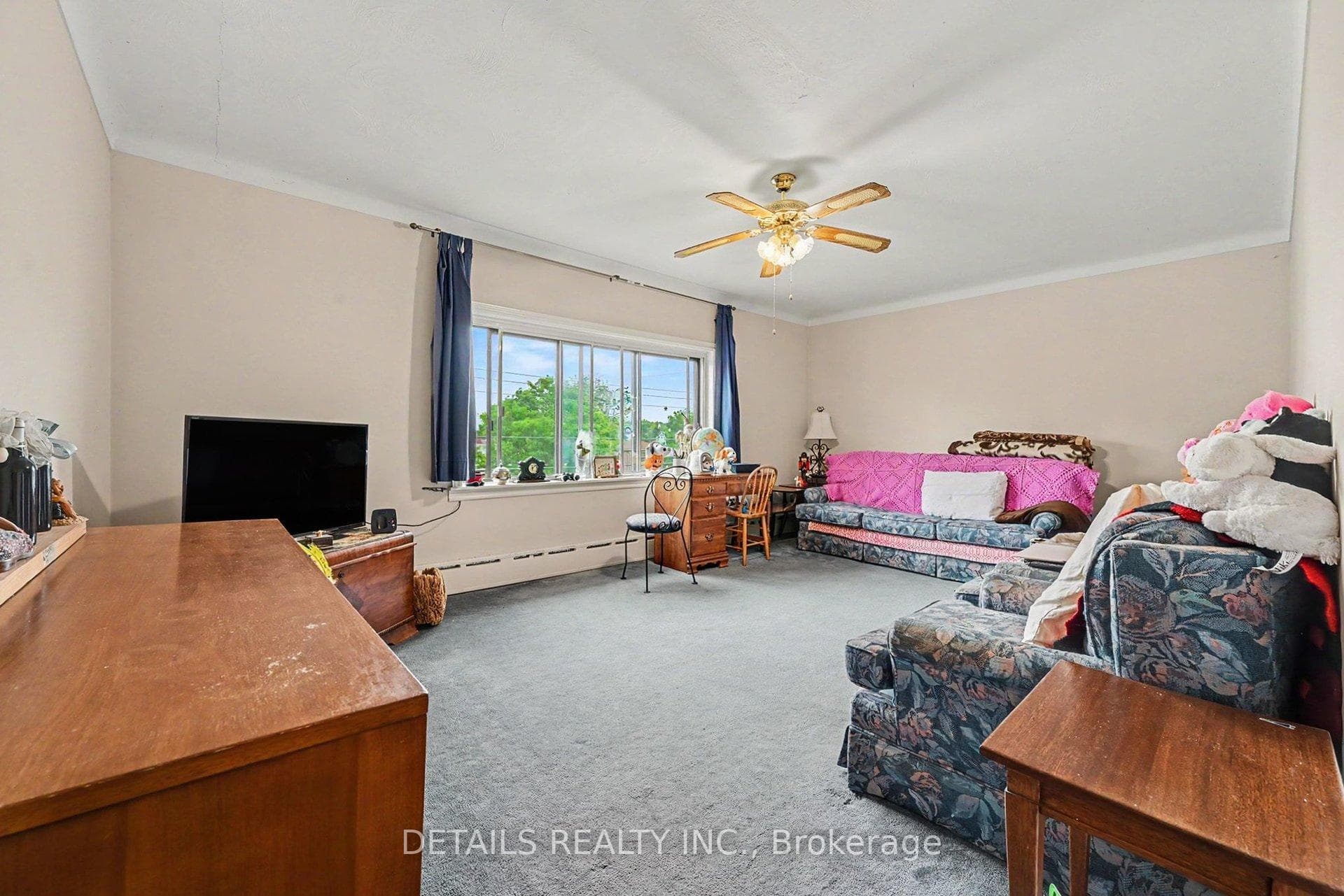 294 Donald Street photo 43