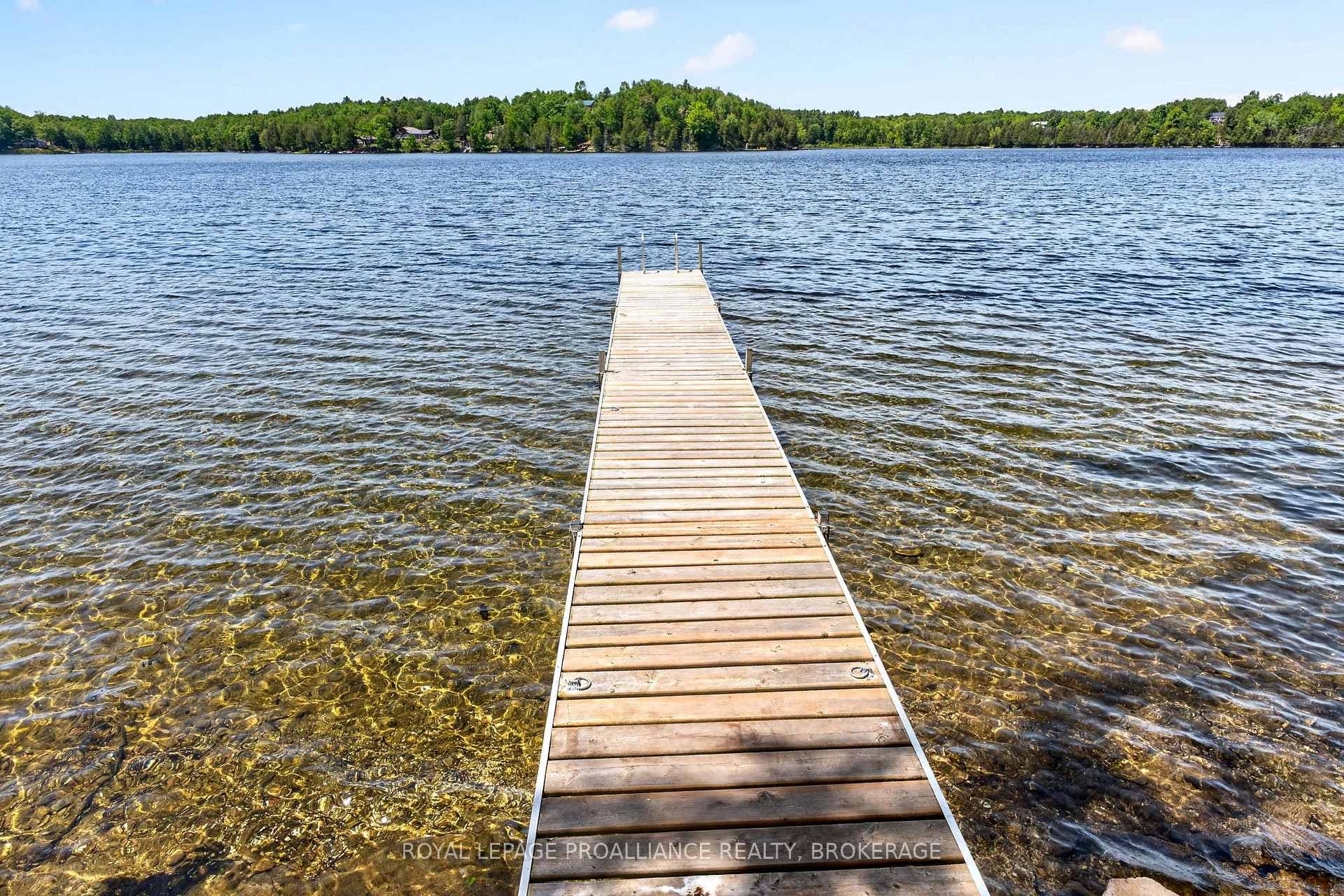 58 Lower Lake Lane photo 6