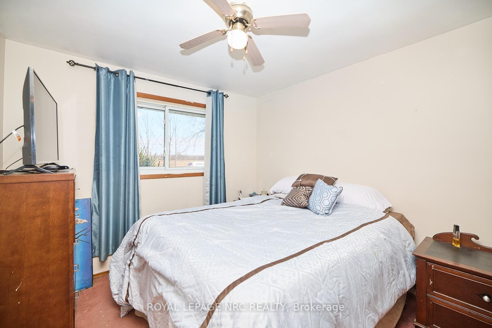3860 Elm Street photo 16
