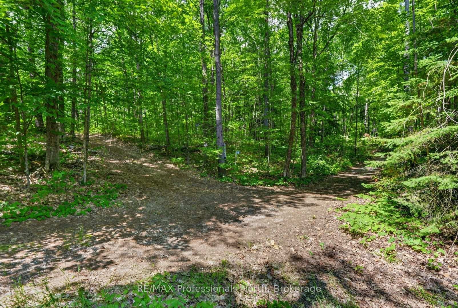 1032 Gazebo Lane photo 36
