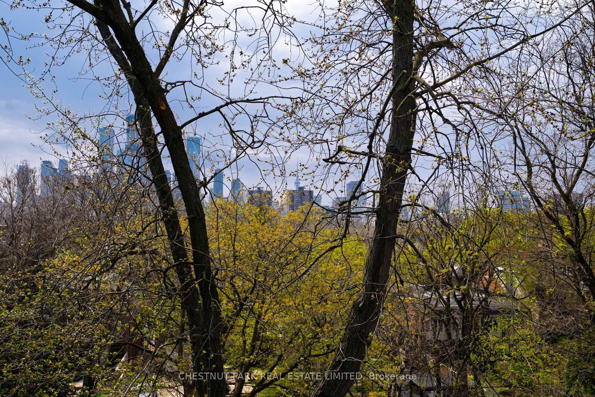 61 Woodlawn Avenue photo 34