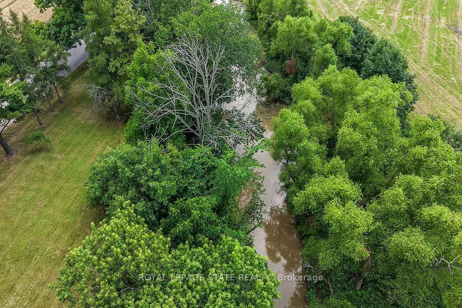 2856 South Grimsby Rd 8 N/A photo 50
