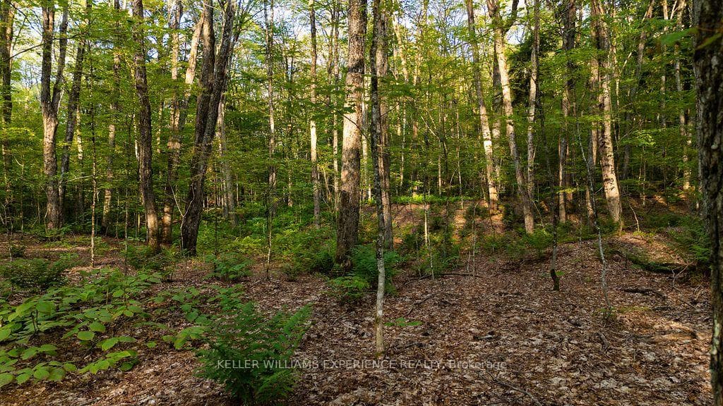 2101 Ahmic Lake Road photo 30