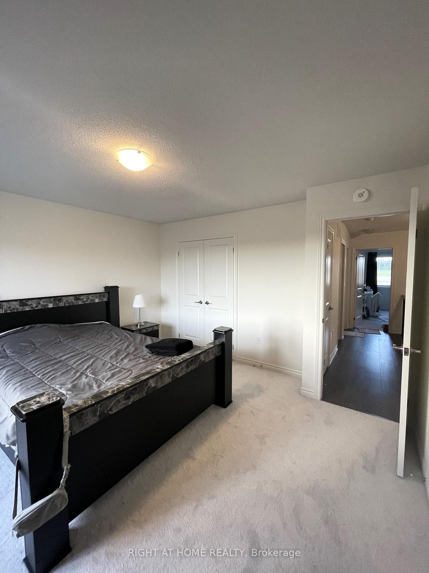 61 Greer Street photo 17