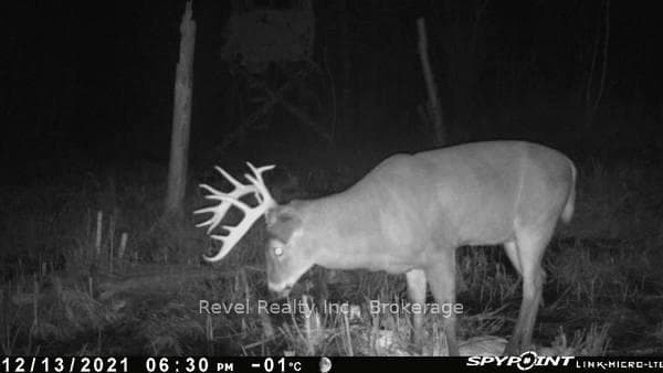 0 LILAC ROAD AT PIGEON LAKE ROAD N/A photo 11
