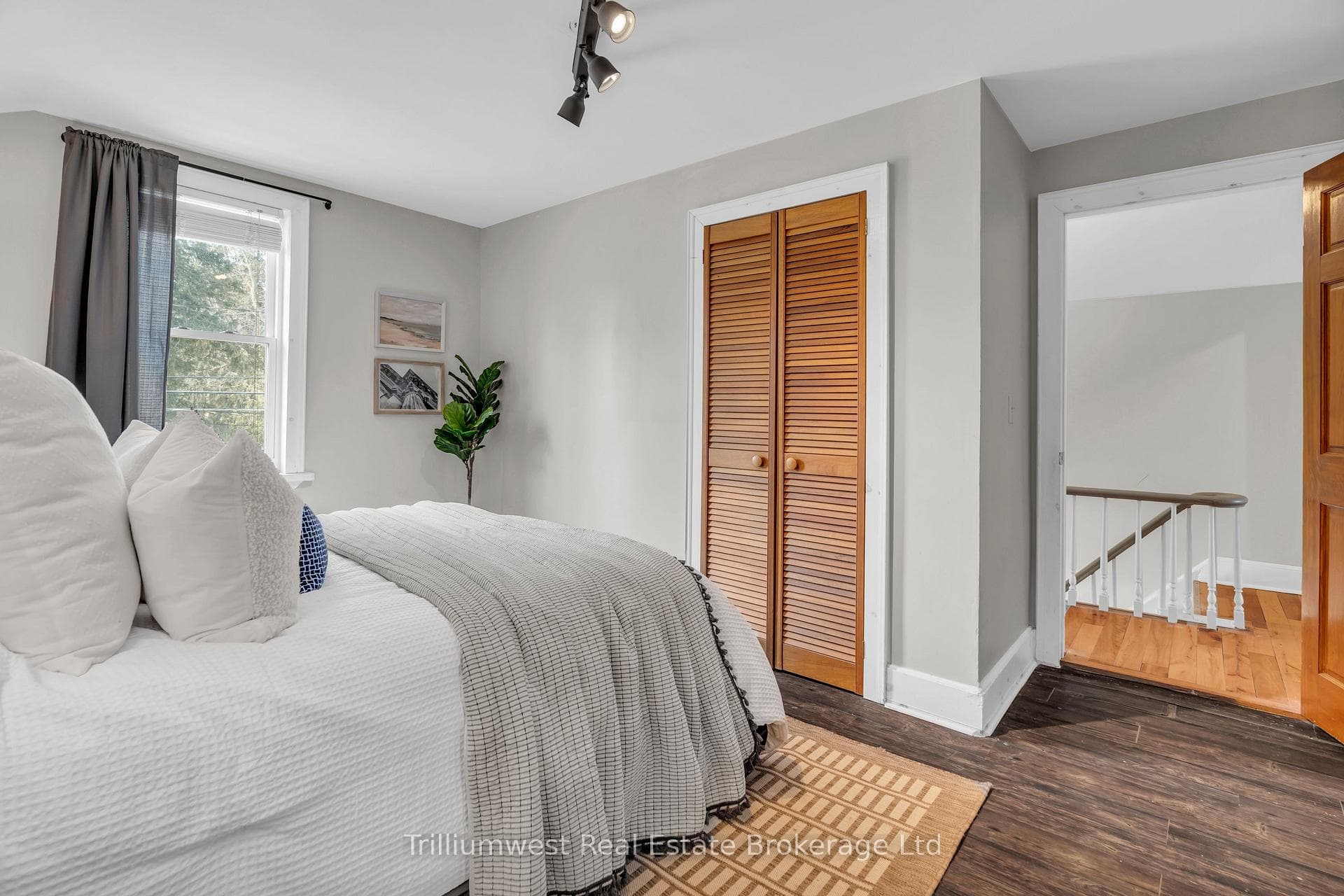 131 Waterloo Street photo 23