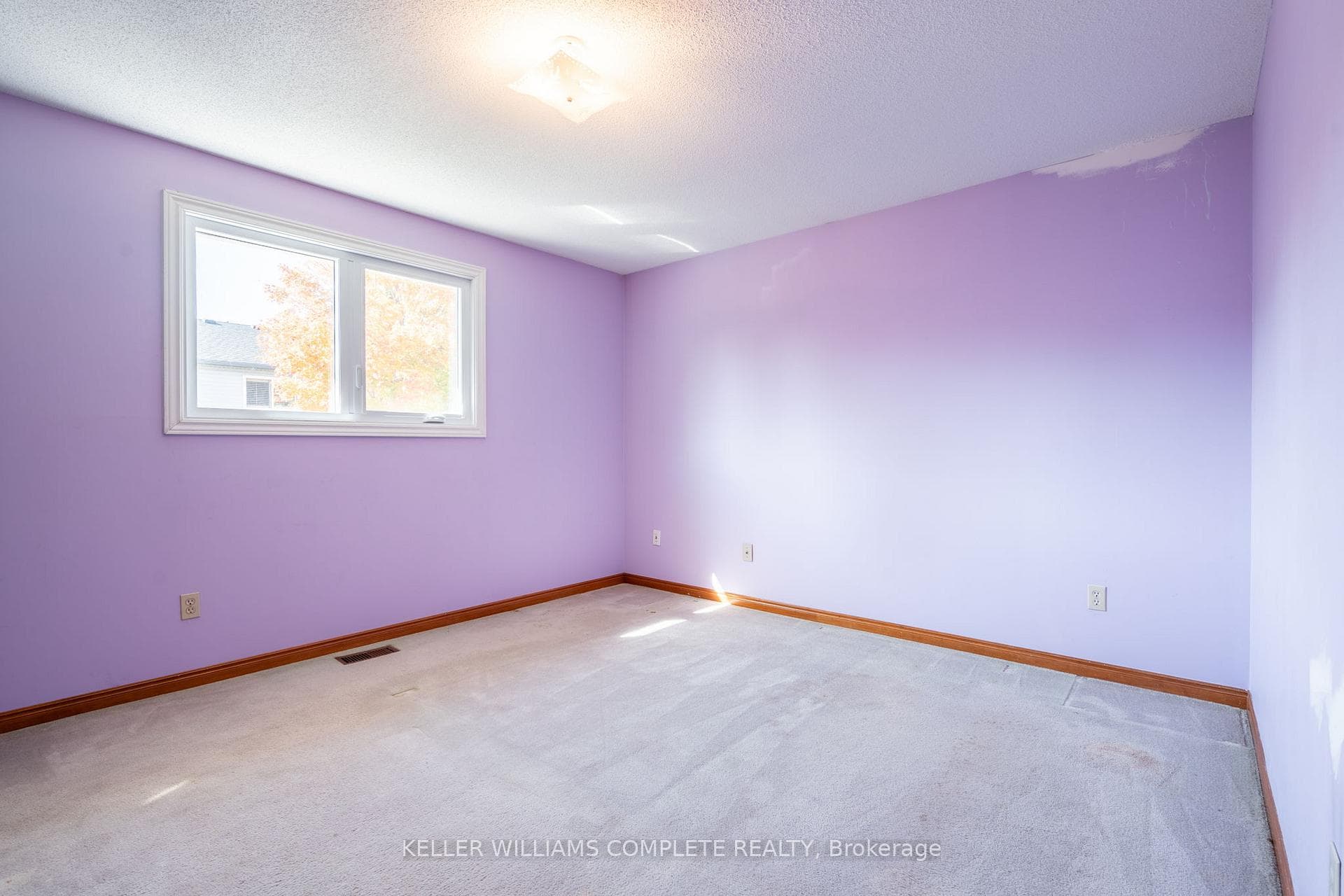 21 Darrow Drive photo 22