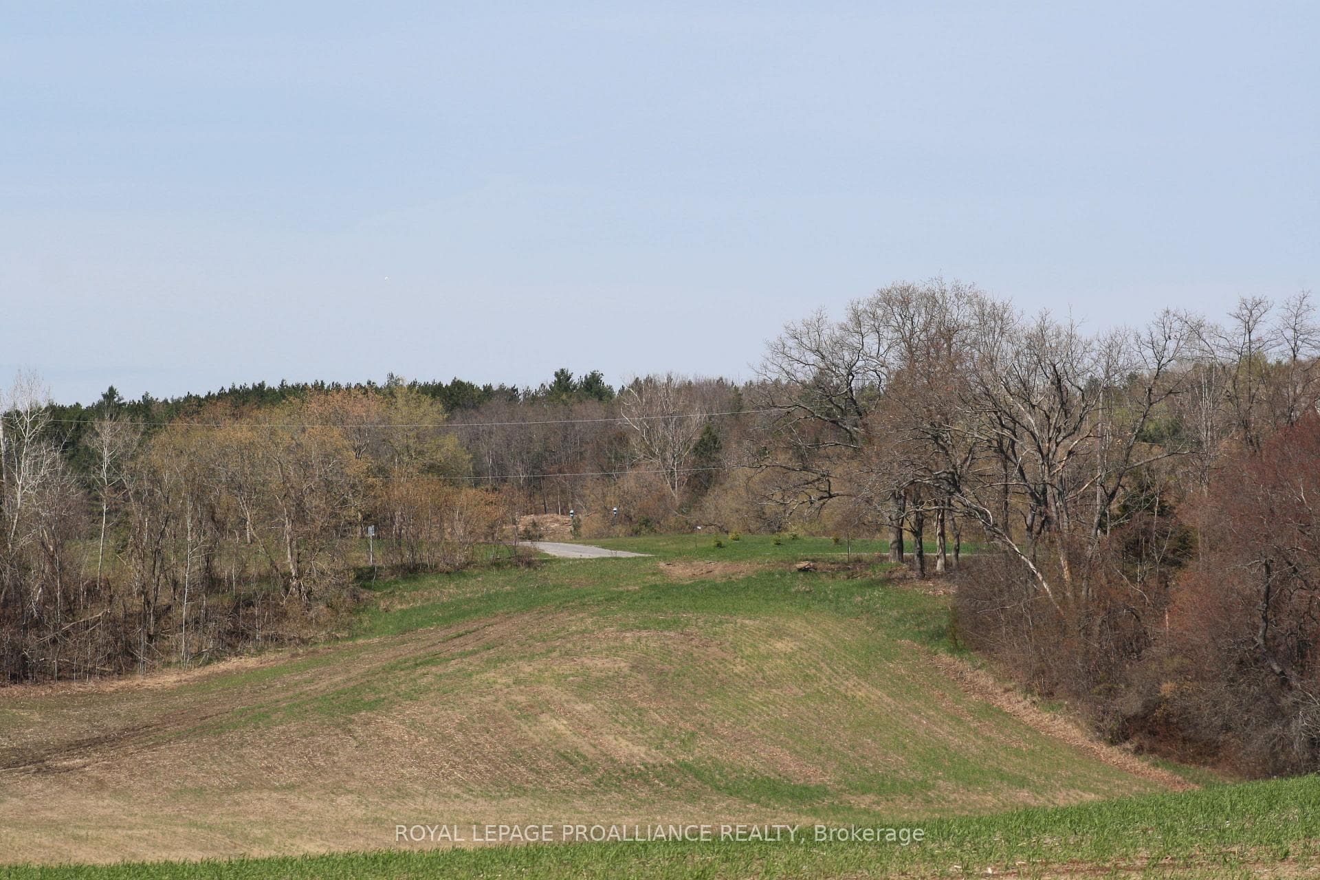 00 Riley Road photo 11