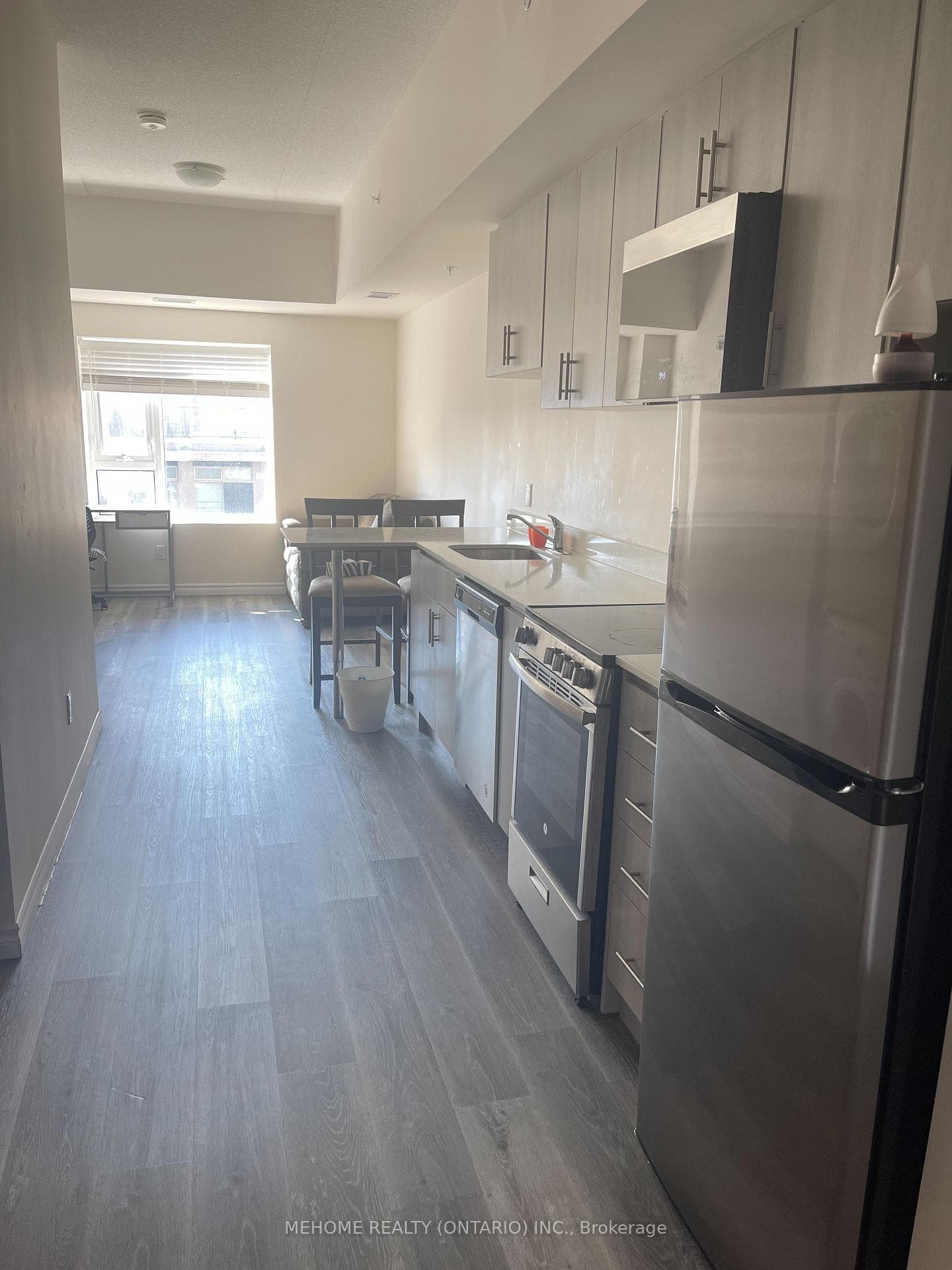 246 Lester Street Unit 505 photo 4