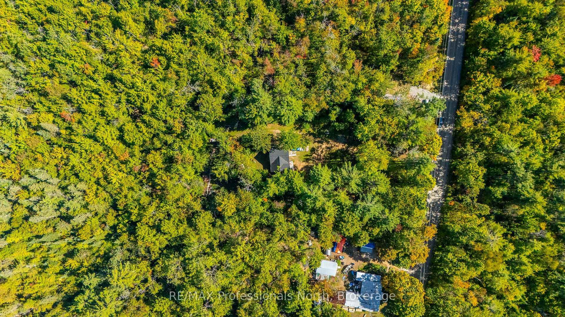 319 Boundary Road photo 27