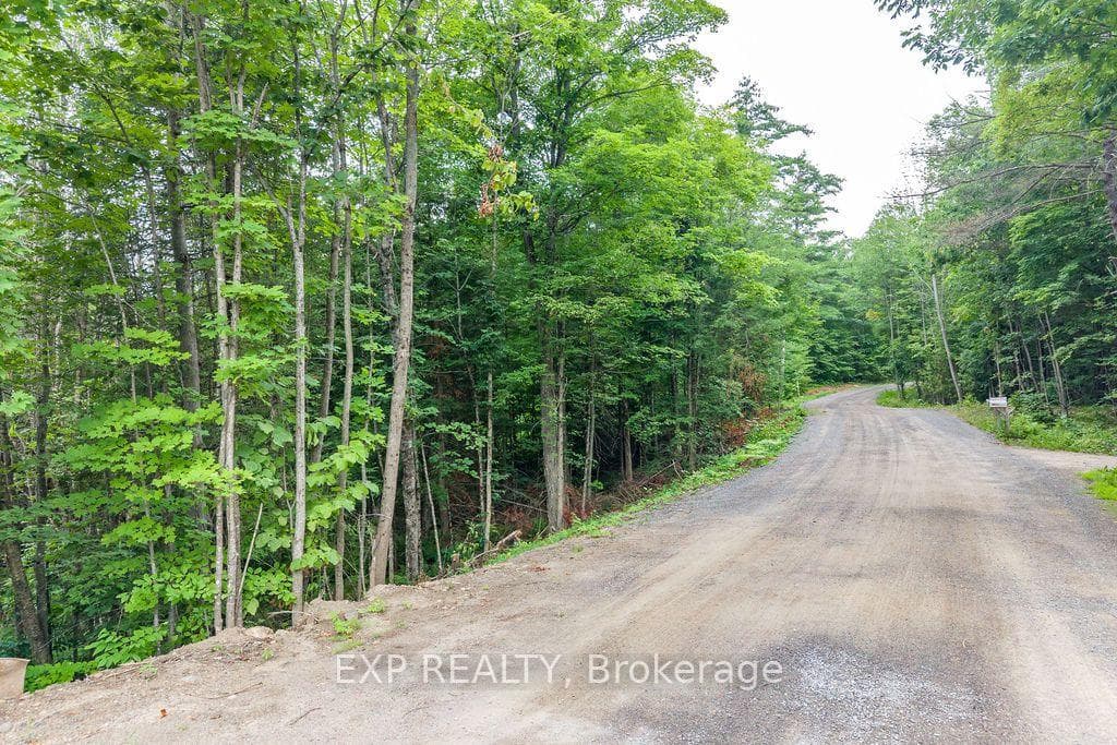 00 Riopelle Road photo 9