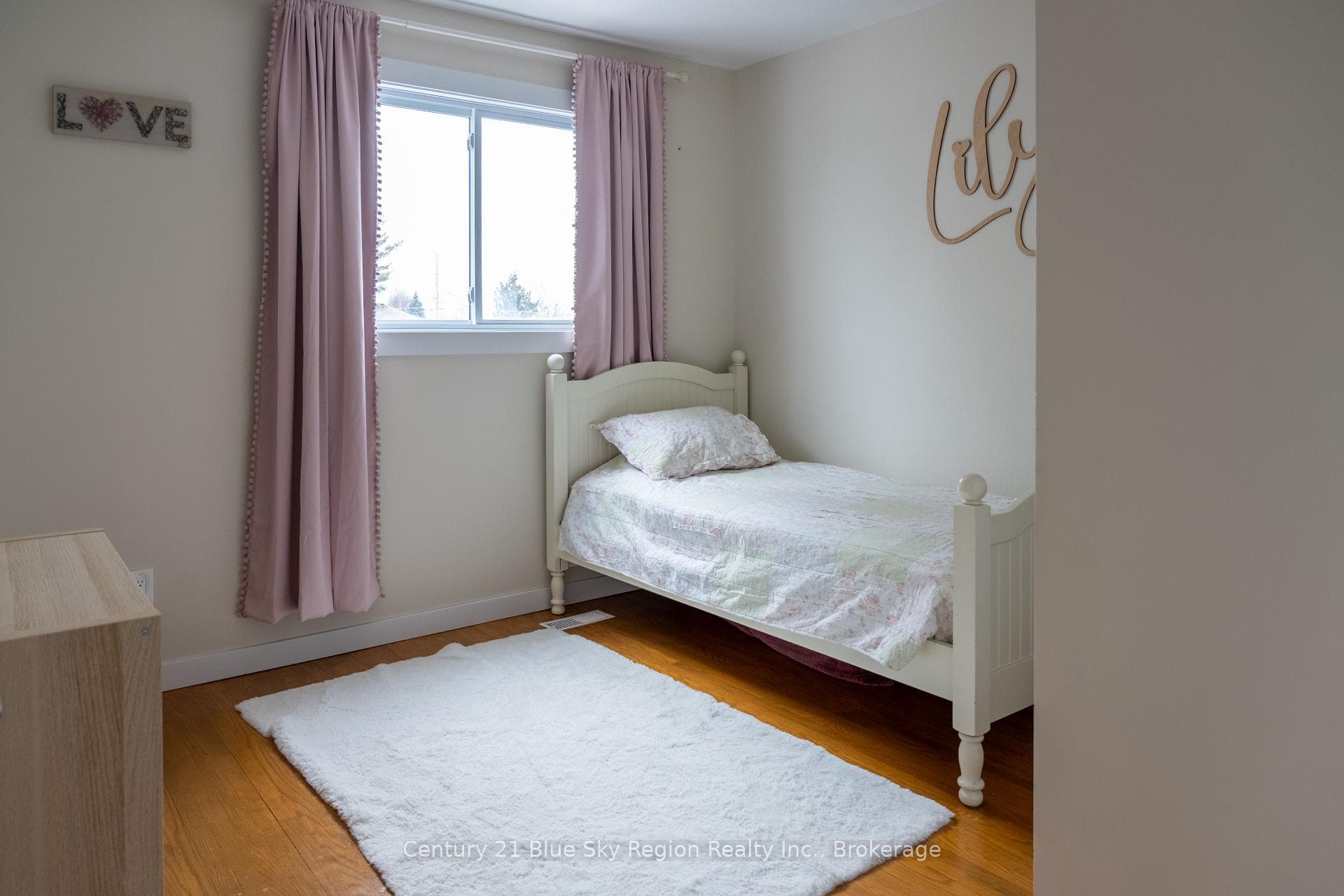 509 Dane Avenue photo 23