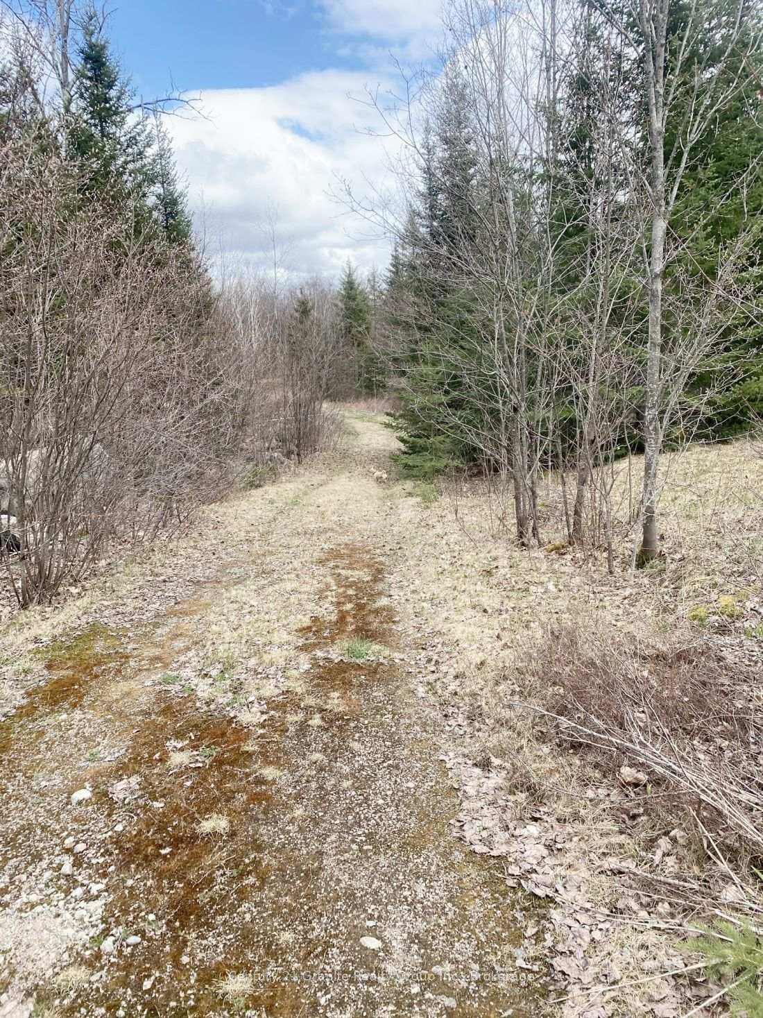 2057 MADAWASKA Road photo 9