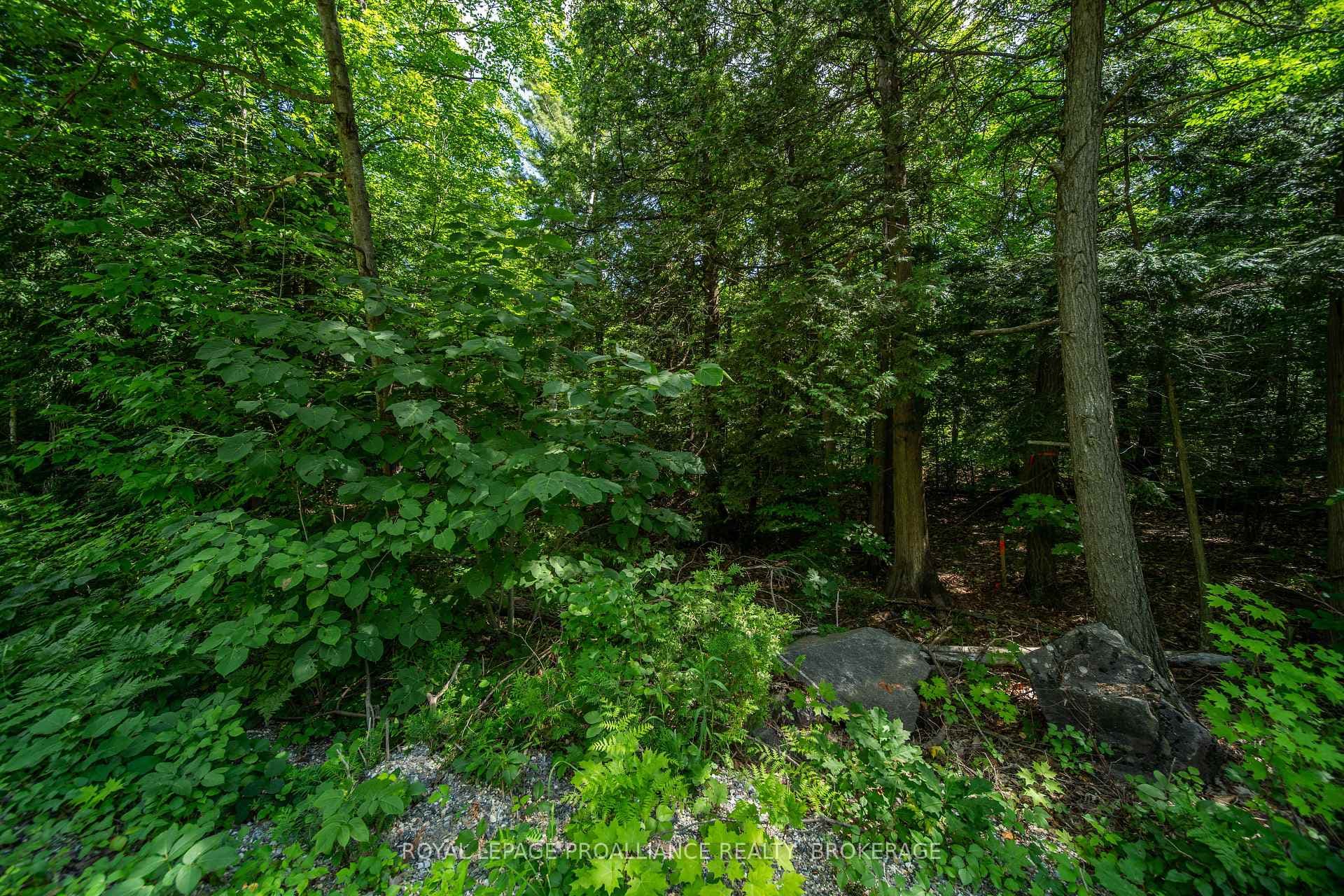 Lot 18, Part 3 Townline Road photo 11