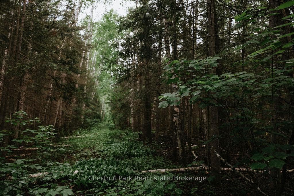 447 Fox Run photo 29